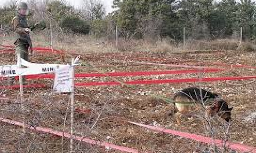 Novi sindikat upozorio na stanje u razminiranju